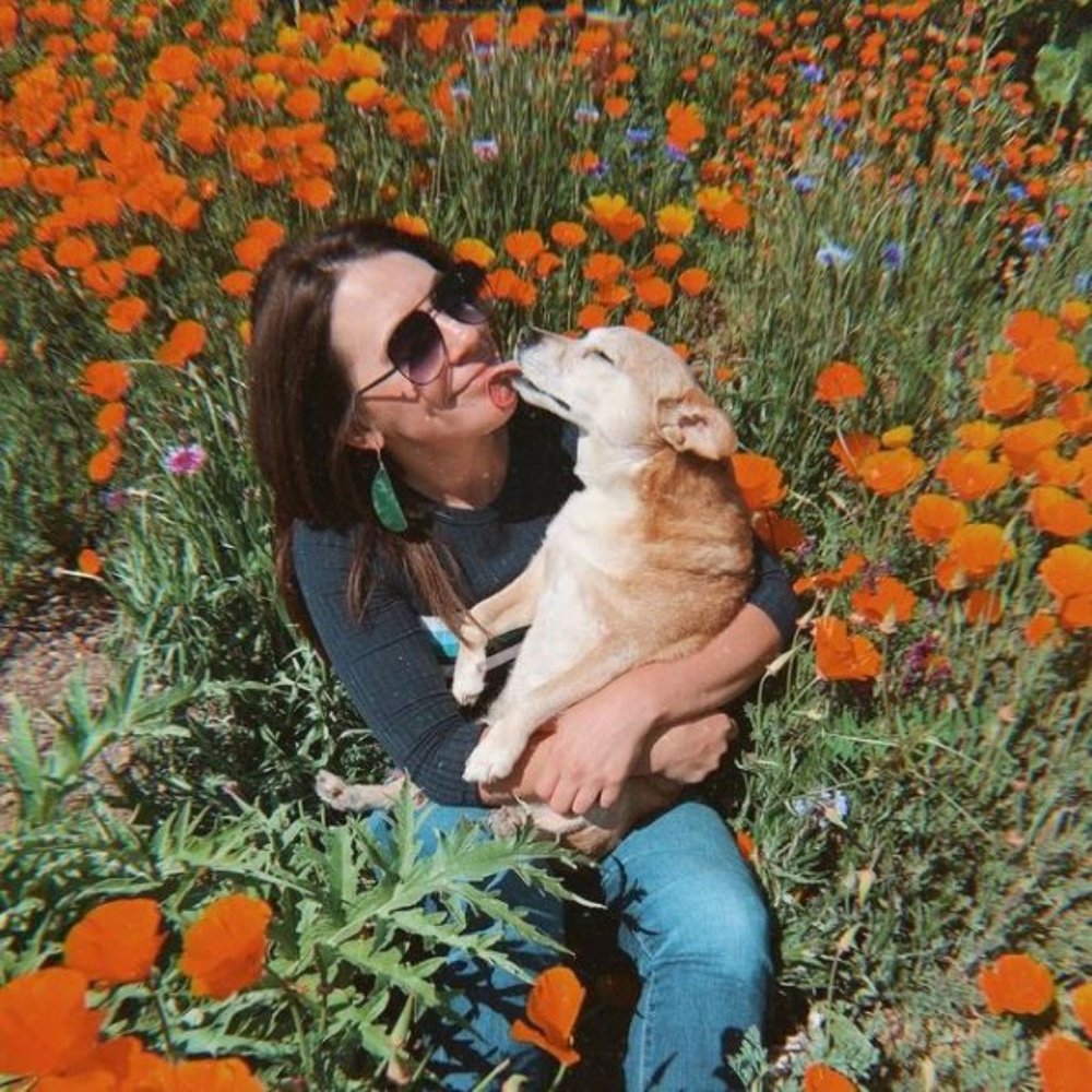 Meet your Posher, Julie